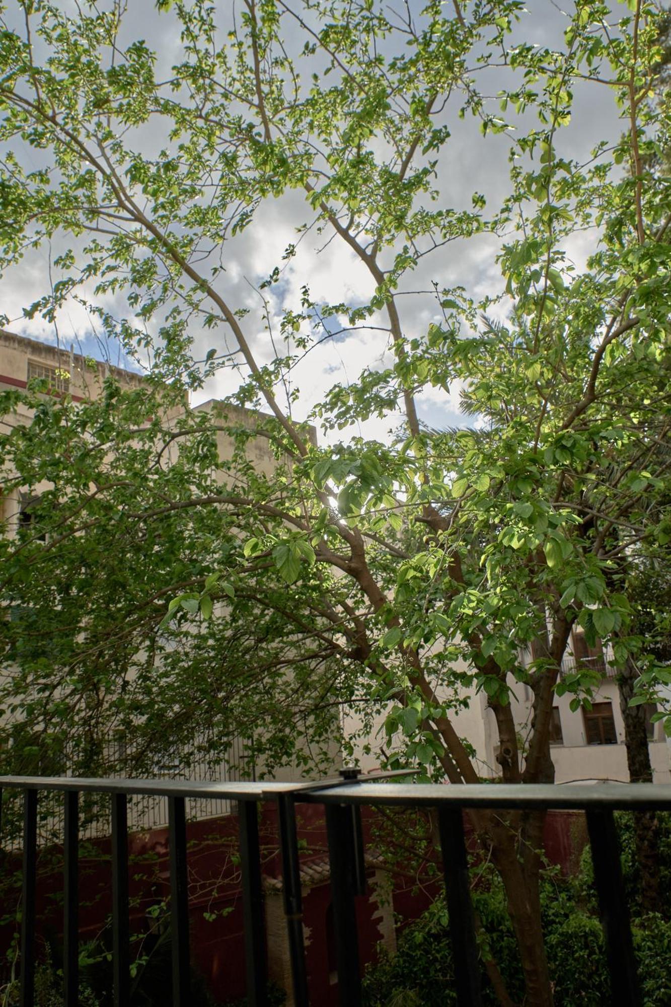 Appartement De Diseno En Plaza Del Carmen F4